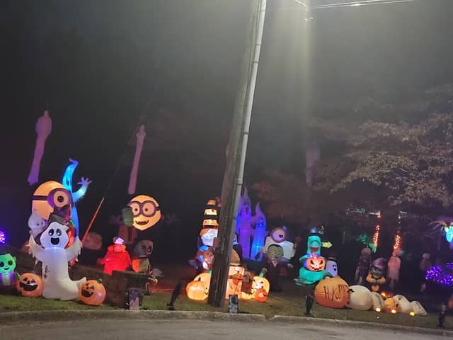 Lights on Lakewood at Mirror Lake (aka Mirror Lake Lights) - Image 1