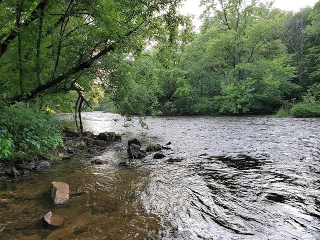 Canoe/Boat Landing - Image 1