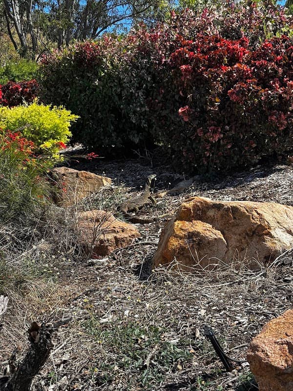 Castle Hill - Image 1