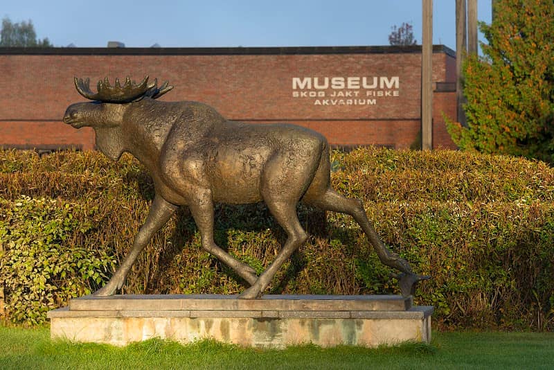 Norwegian Forestry Museum - Image 1