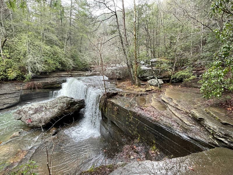 Savage Gulf State Park (West Trailhead - Greeter Falls) - Image 2