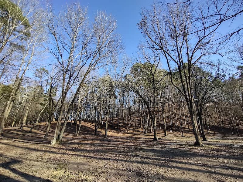 Jack Creek Mountain - Image 2