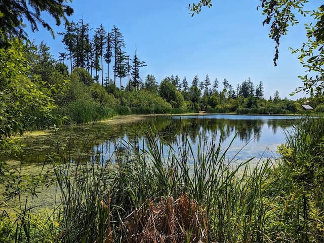 Hawk's Prairie Reclaimed Water Ponds - Image 3