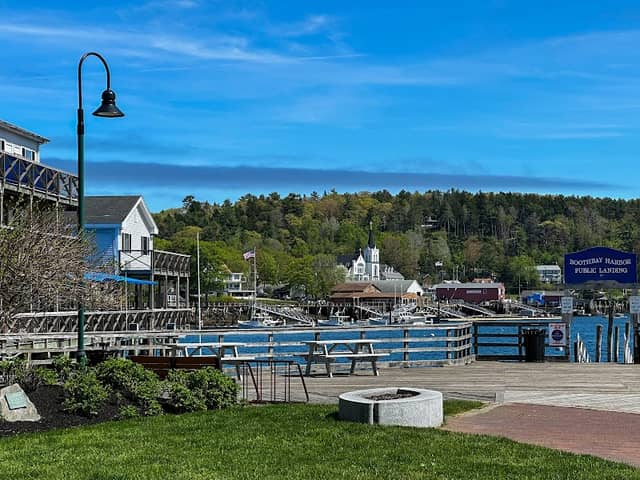 Whale Park - Image 1