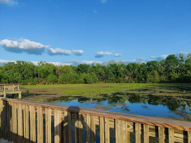Wood Bench & Lake Lookout - Image 2