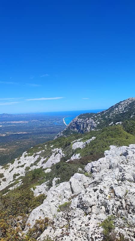Monte irveri - Image 1