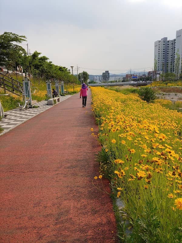 Maegogcheon - Image 1