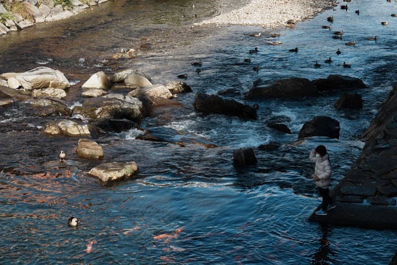 Miyagawa River - Image 2