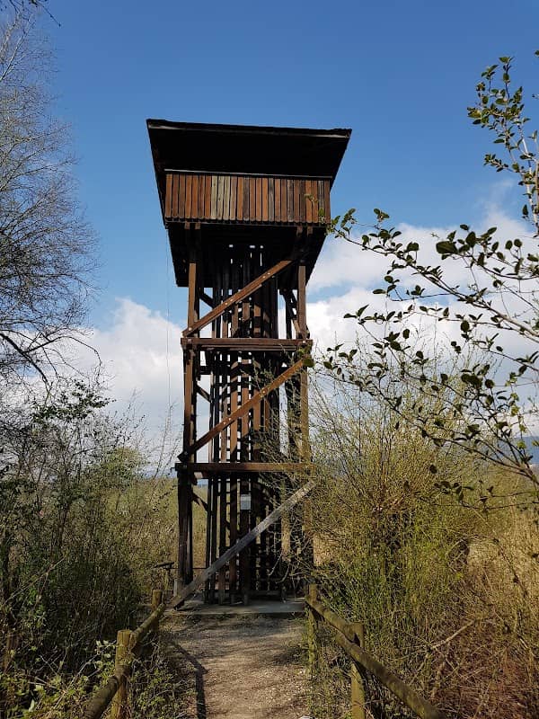 Beobachtungsturm Häftli - Image 1