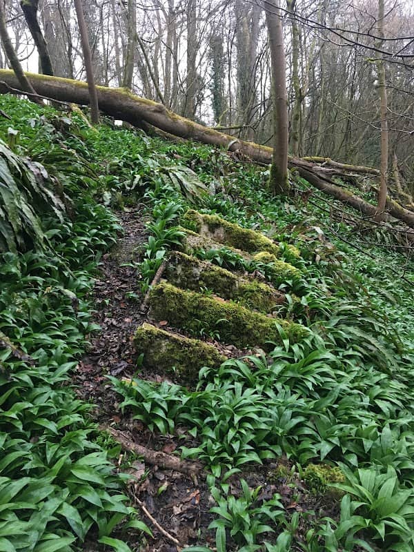 Buriton Chalk Pit - Image 1