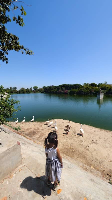 Dynasour Park - Image 1