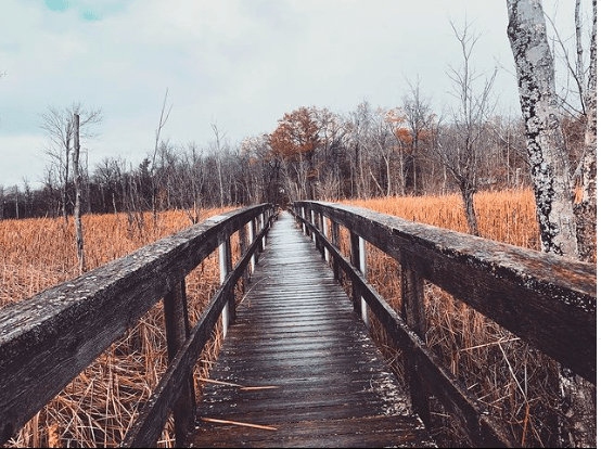 Educational Board Walk Trail - Image 1