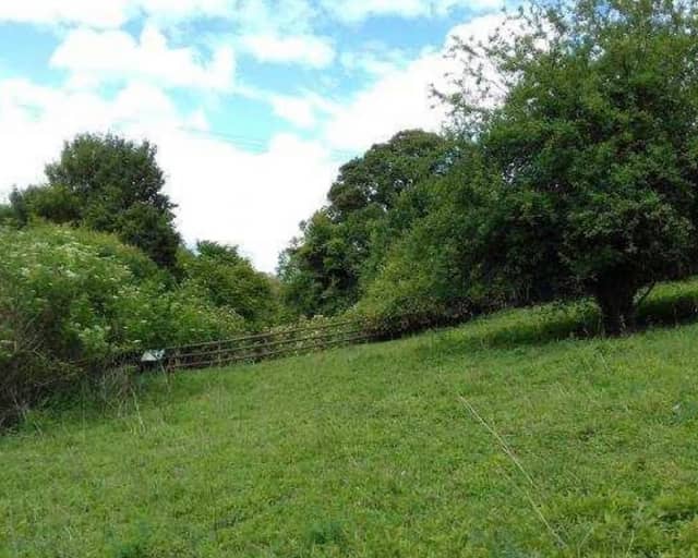 Hill End Chalk Pit - Image 1