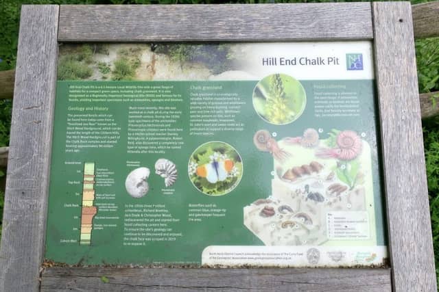 Hill End Chalk Pit - Image 2