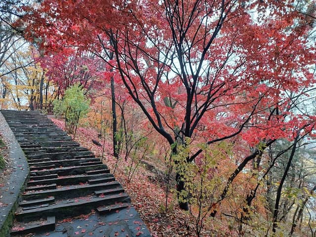개운산공원 - Image 2