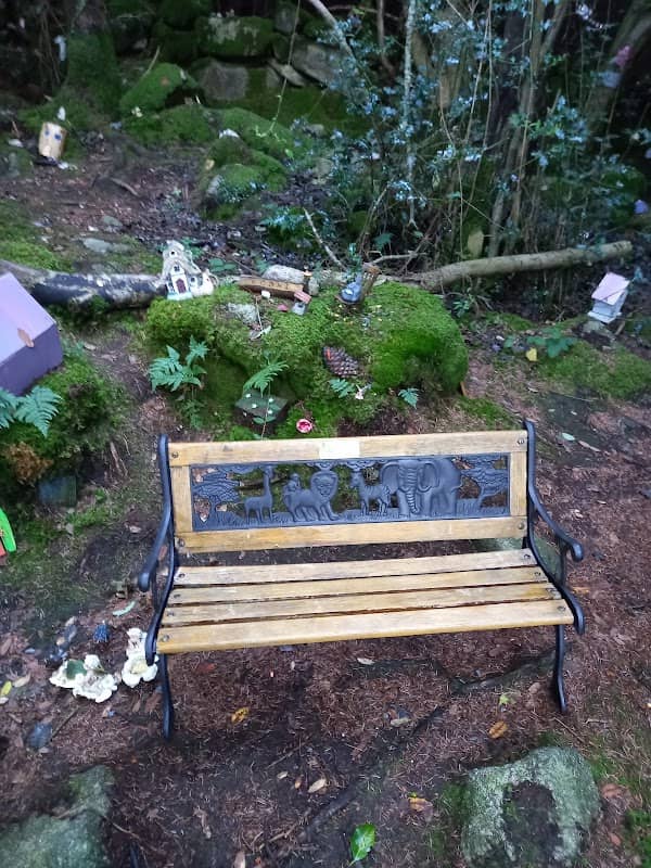Bodhi's Bench - Image 1