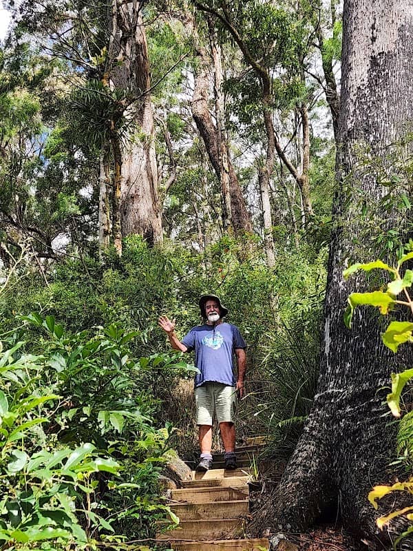 Pholis Gap walking track - Image 2
