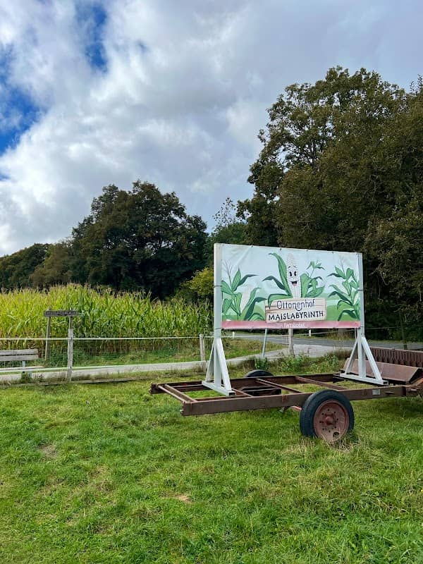 Maislabyrinth - Image 1