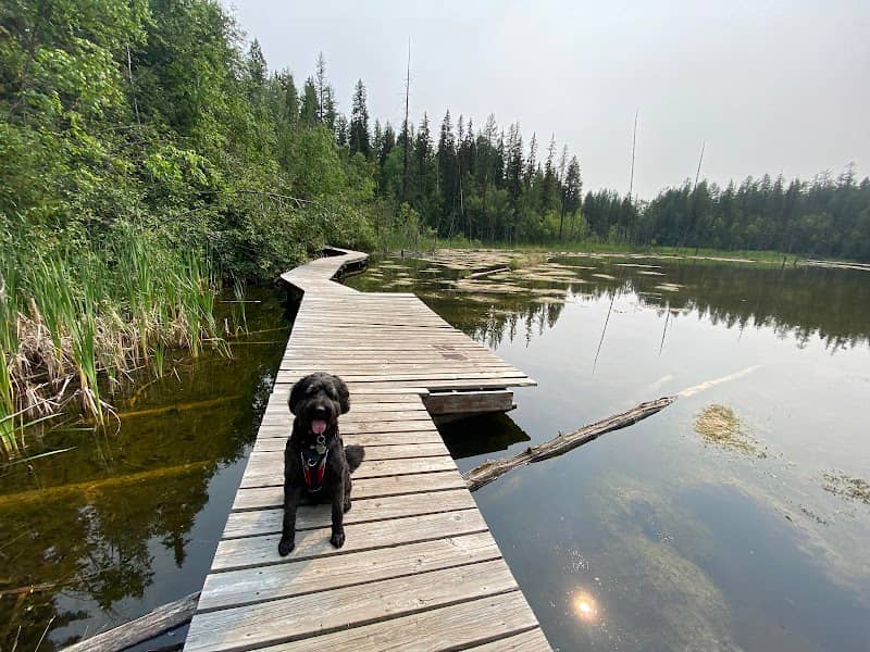 The Ponds Recreation Site - Image 1