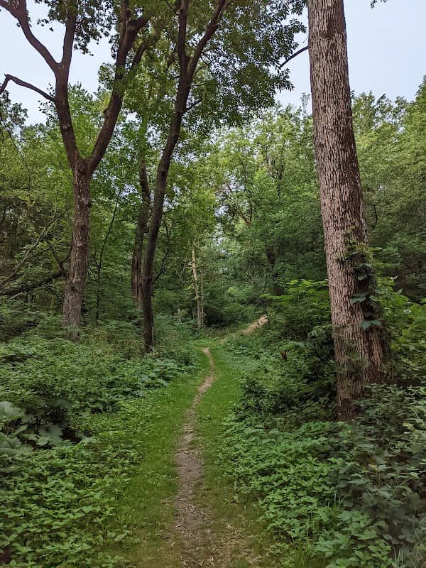 Carroll's Woods - Image 1