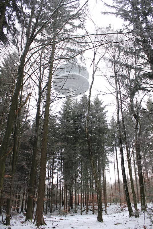Wandergweg bei Seubersdorf i.d. Opf. - Image 1