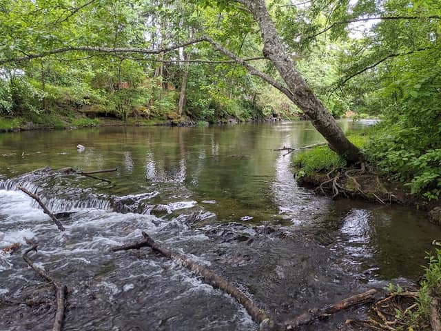 Delbert Hunter Arboretum and Botanical Garden - Image 2
