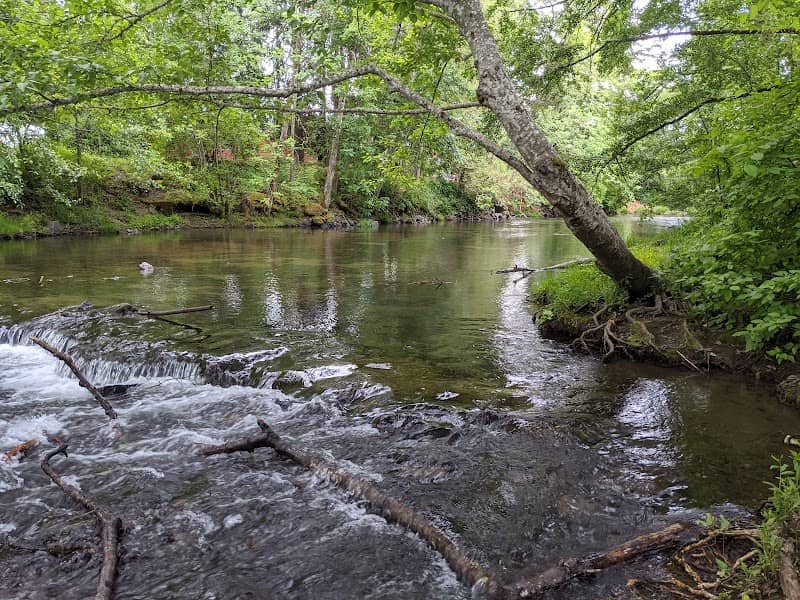 Delbert Hunter Arboretum and Botanical Garden - Image 2