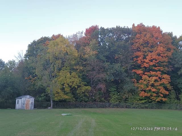 Cheney Park - Image 1