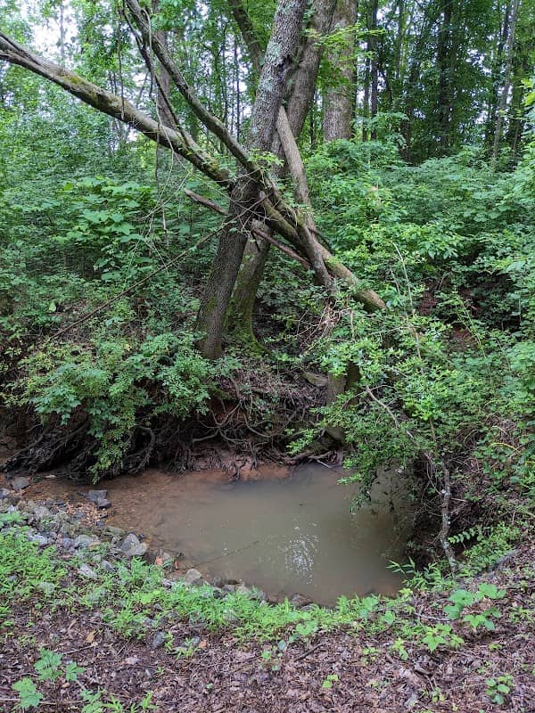 Rutherford County Walking Path - Image 2