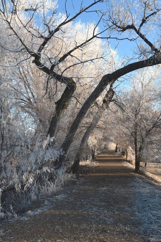 Trafton Trail - Museum Access - Image 1