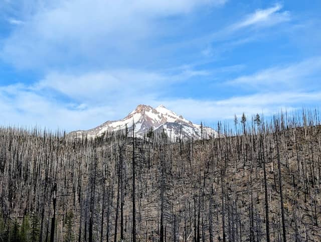 Mount Jefferson Wilderness - Image 2