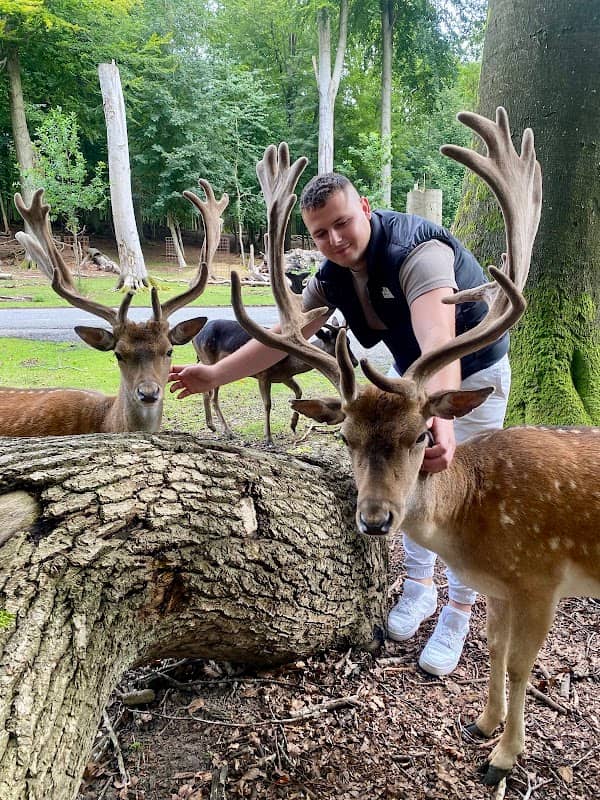 Deer Park Vejle - Image 1
