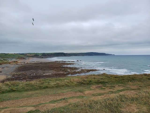 Widemouth Bay - Image 2