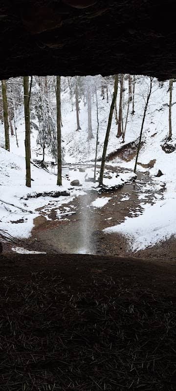 Schwarzegubel - Image 1
