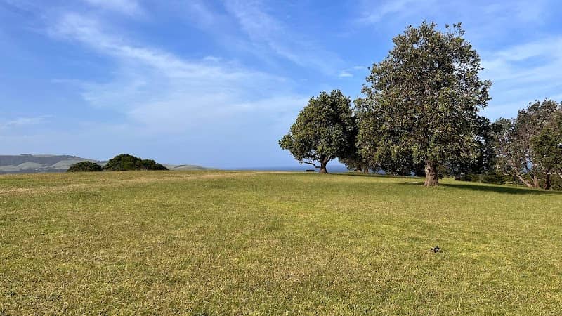 Werri beach scenic point - Image 1