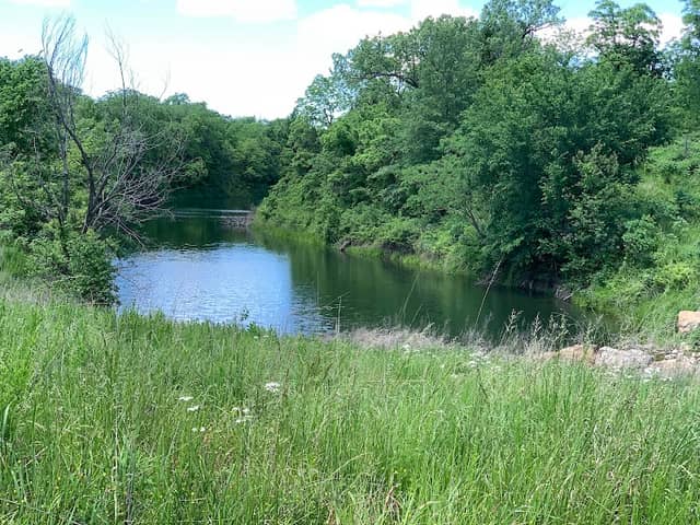 Mined Land Wildlife Area #12 - Image 1