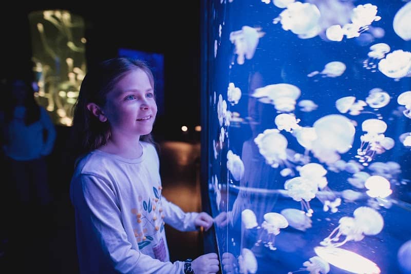Aquarium of Quebec - Image 1
