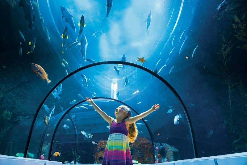 Aquarium of Quebec - Image 2