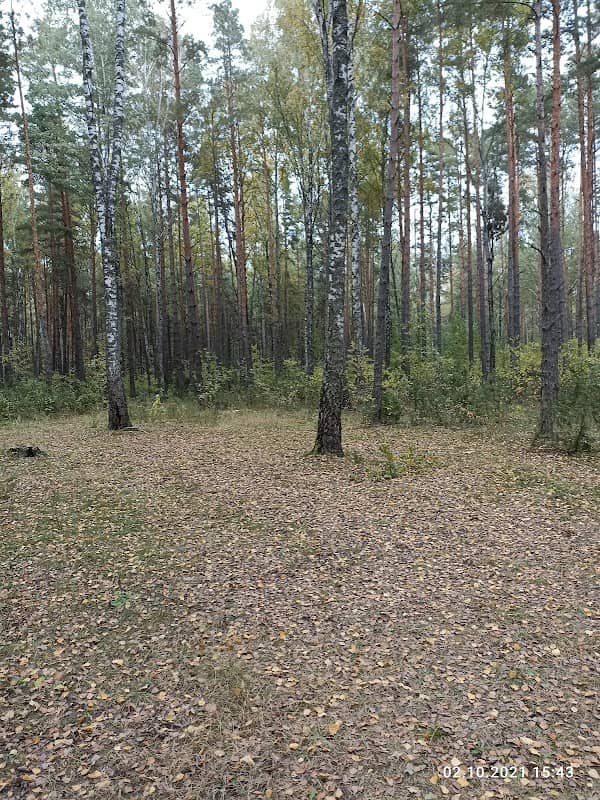 Istochnik Vechnoy Molodosti - Image 1
