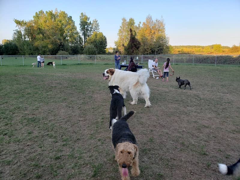 Buckingham Dog Park - Image 2