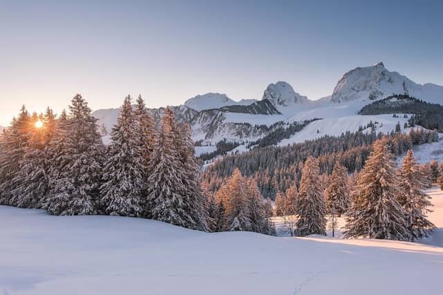 Naturpark Gantrisch - Image 3