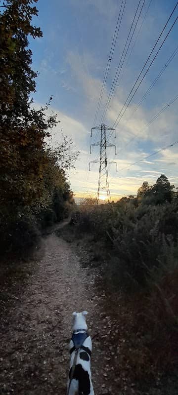 Edgbarrow Woods Nature Reserve - Image 1