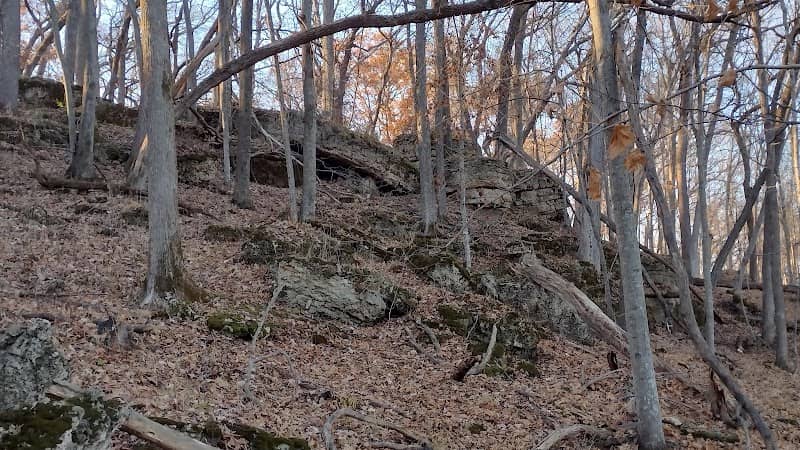 Retz Memorial Woods State Preserve - Image 1