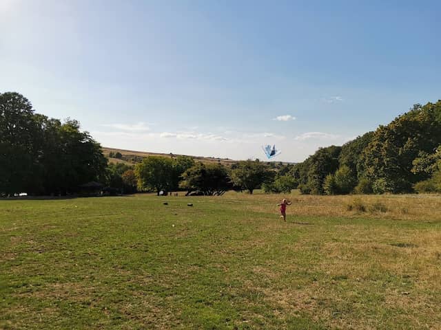 Picnic park - Image 1