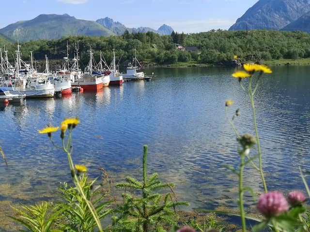 Sildpolltjønna Ship Wreck Lofoten Norway - Image 3