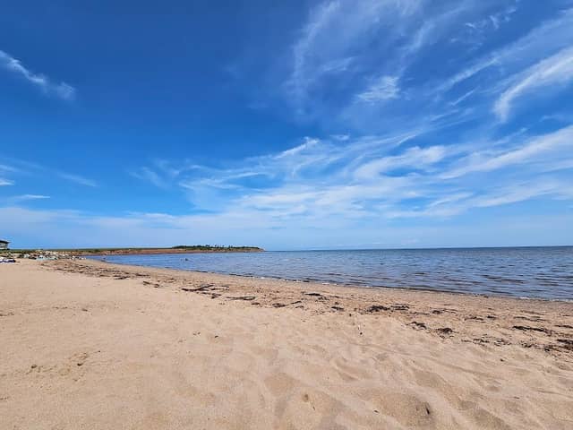 Cove Rd beach - Image 1