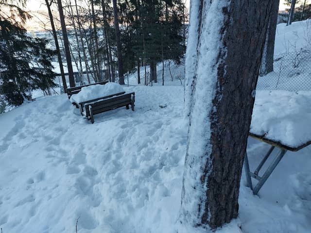 Sulpen - Image 1