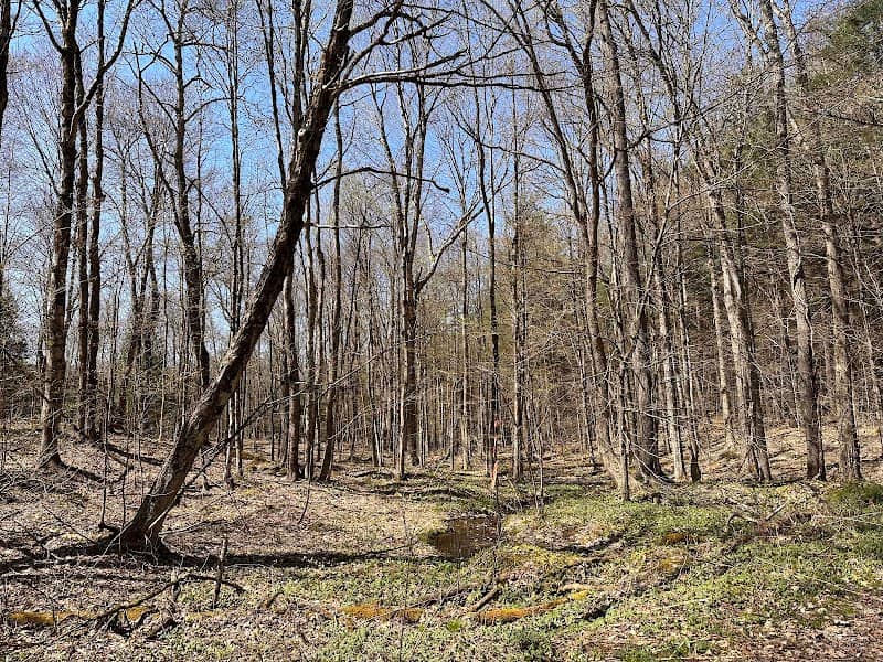 Happy Valley Wildlife Management Area - Image 1