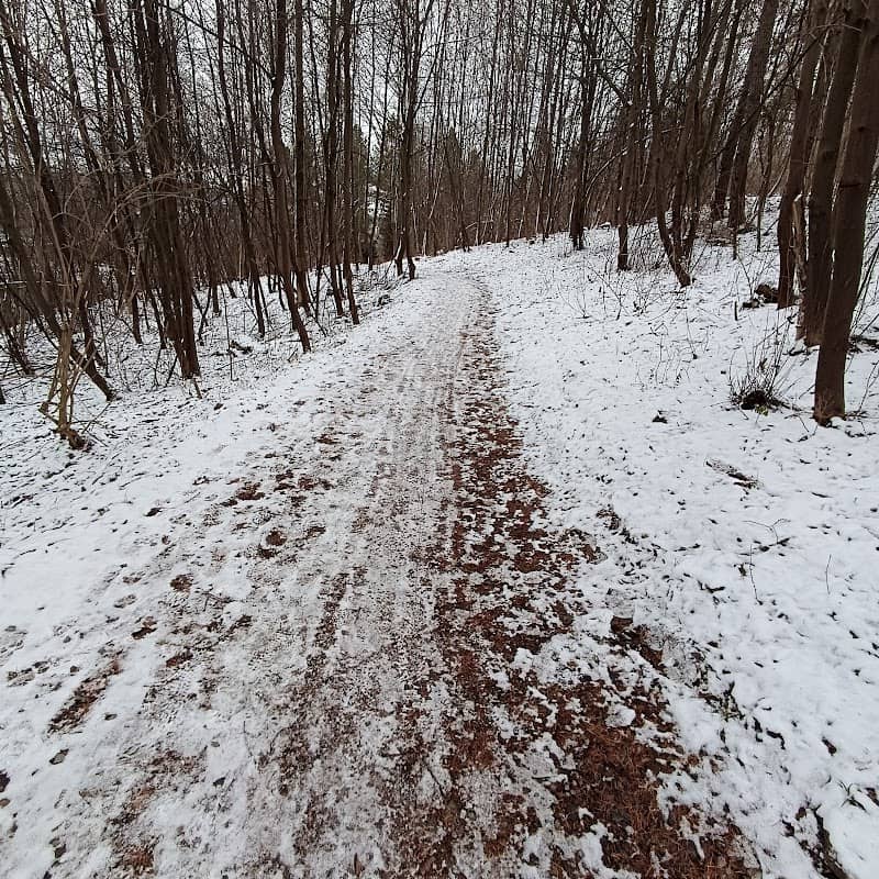 Cyklochodník Tvrdošín -Štefanovo - Image 1