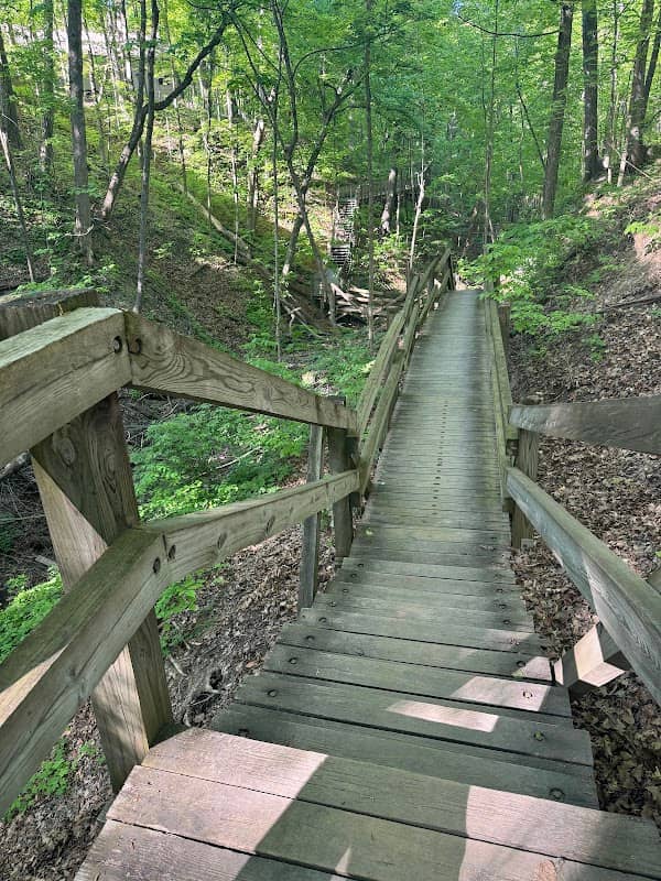 Happy Hollow Park - Image 1